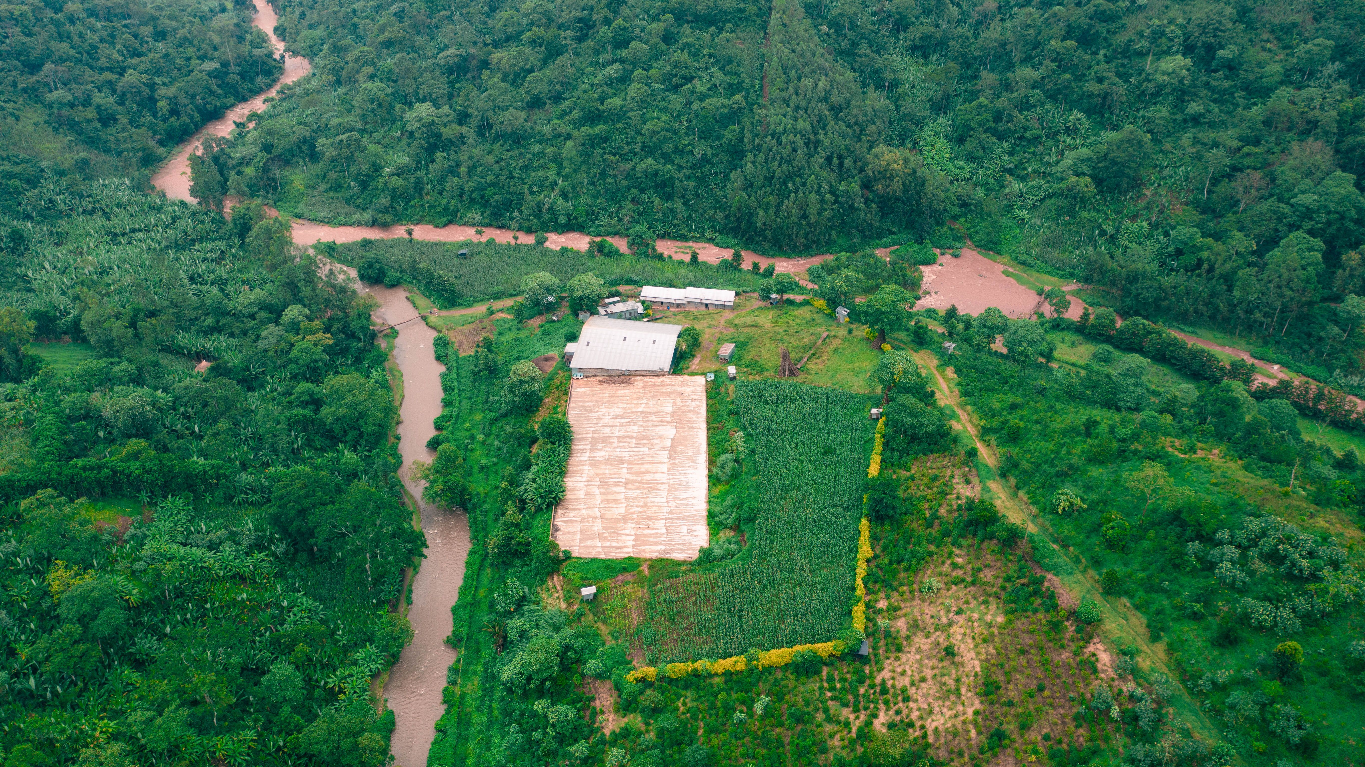 Bale Mountain Farm Logo