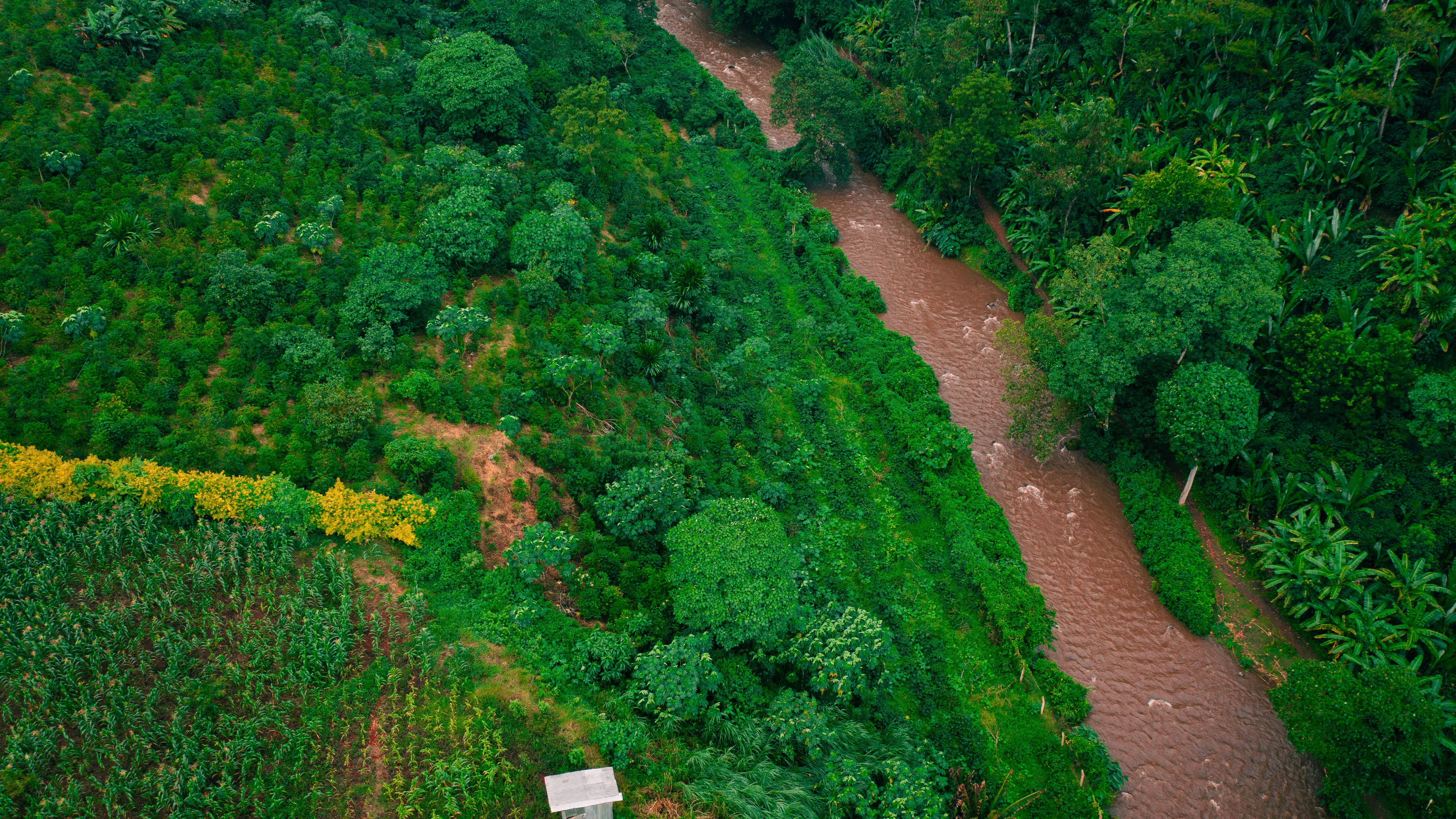 Farm Image