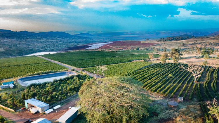 Kerchanshe Coffee Logo