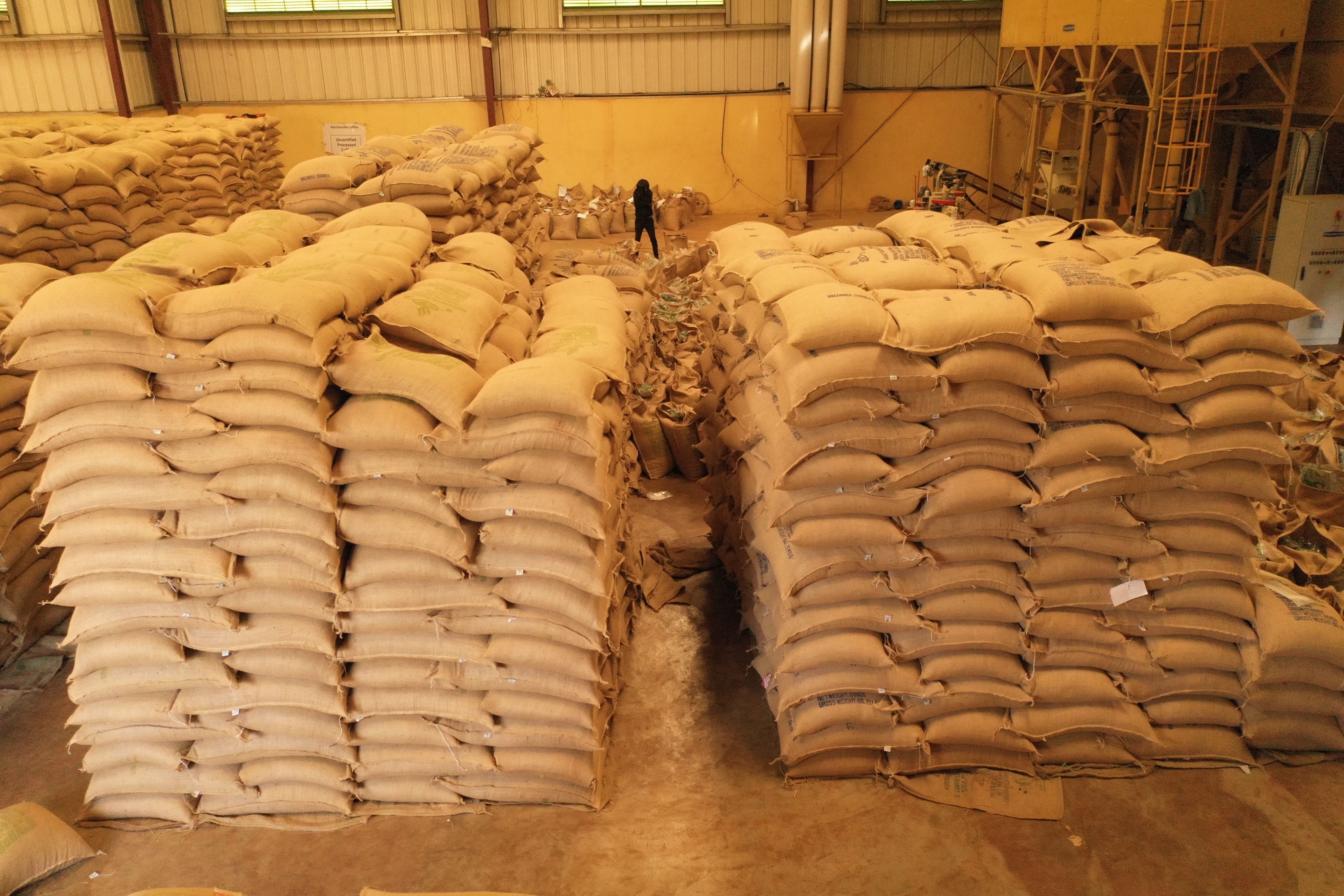 Bule Hora Coffee Export Warehouse